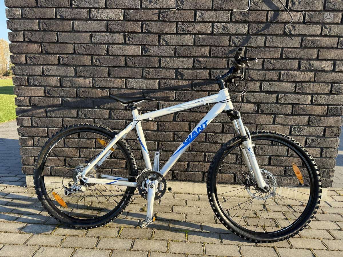 Kalnų dviratis Giant 26″