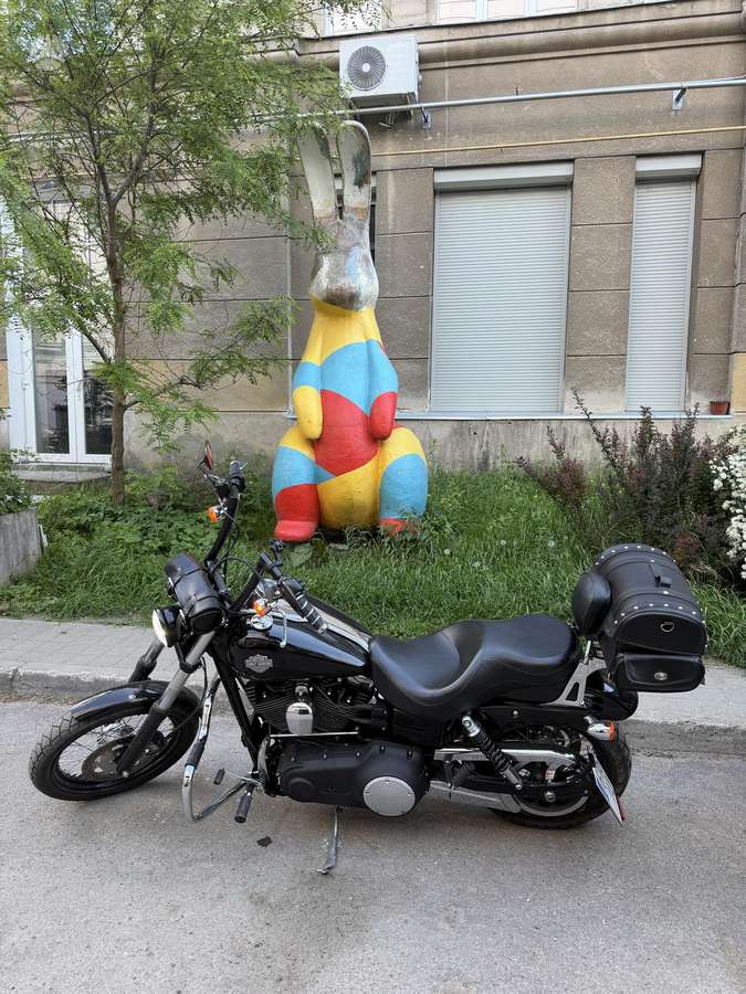 Harley-Davidson Dyna 1700cc, чопперы / круизеры / custom