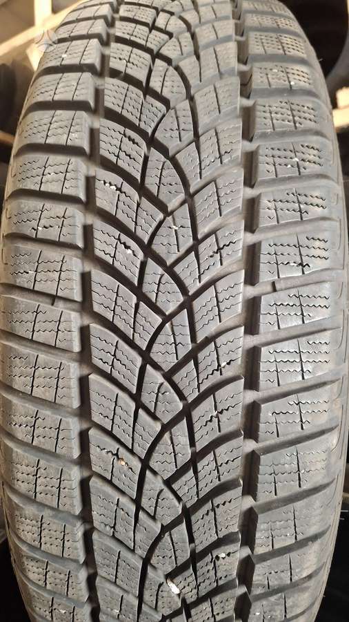 Goodyear Performance.2023m, winter 195/60 R18