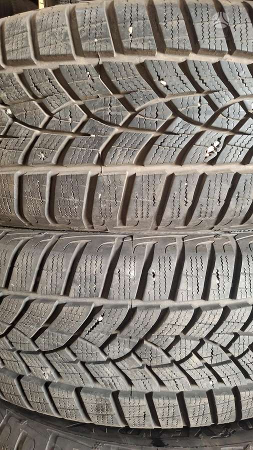 Goodyear Performance.2023m, winter 195/60 R18