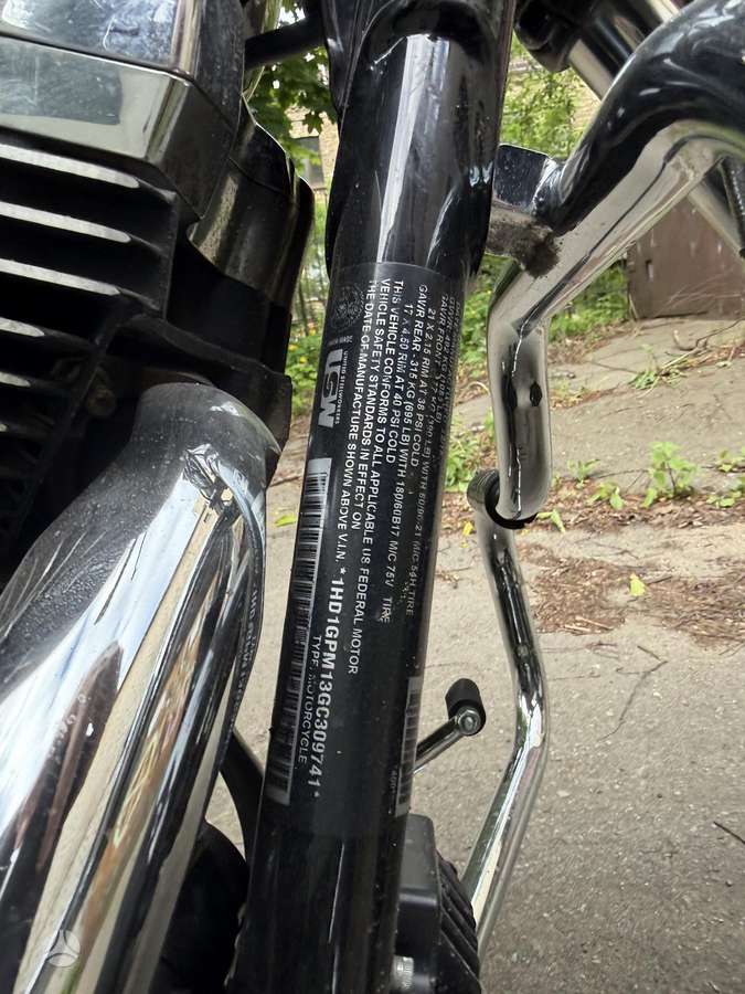 Harley-Davidson Dyna 1700cc, choppers