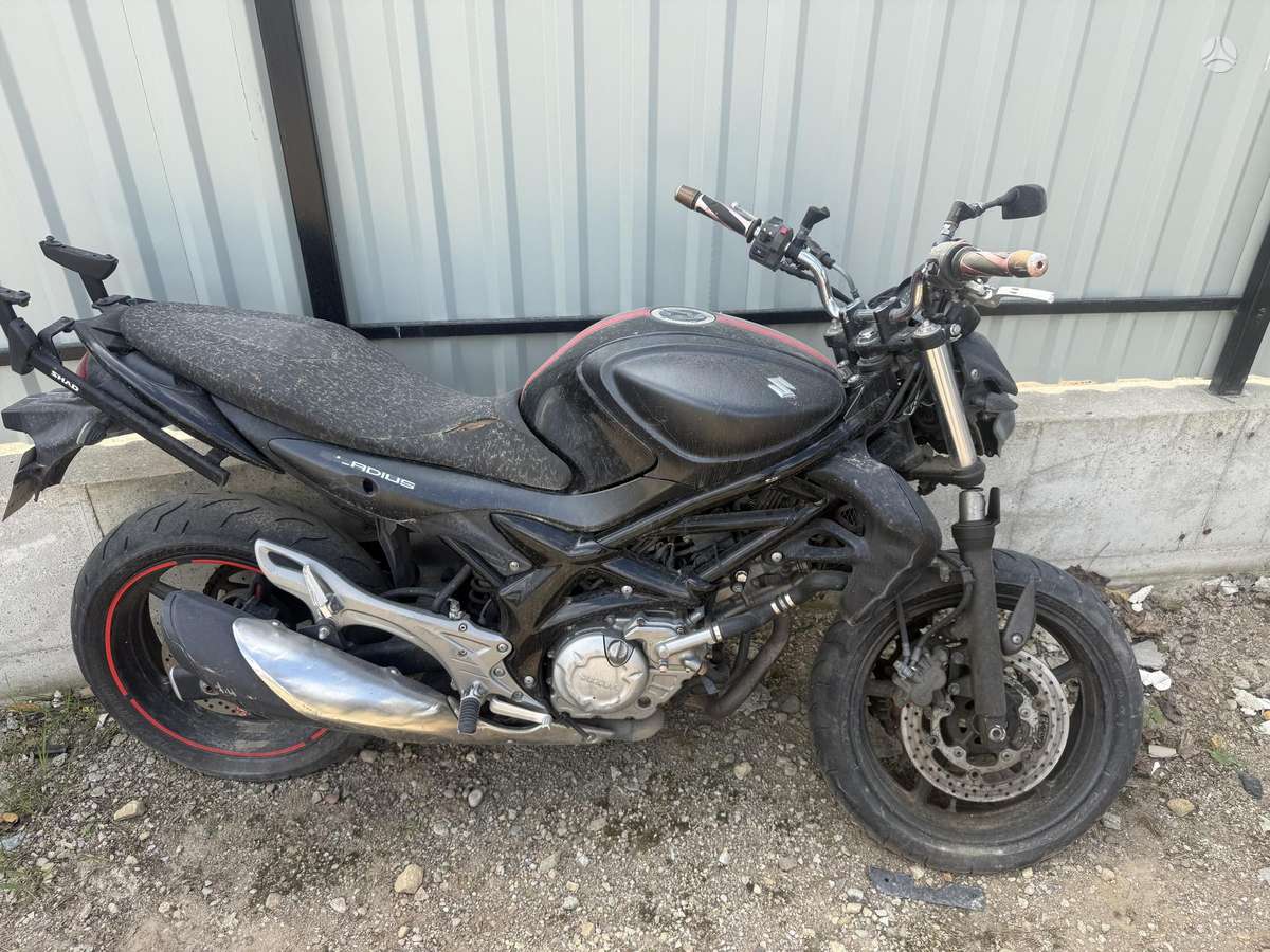 Suzuki SFV (Gladius) 650cc, street / classic