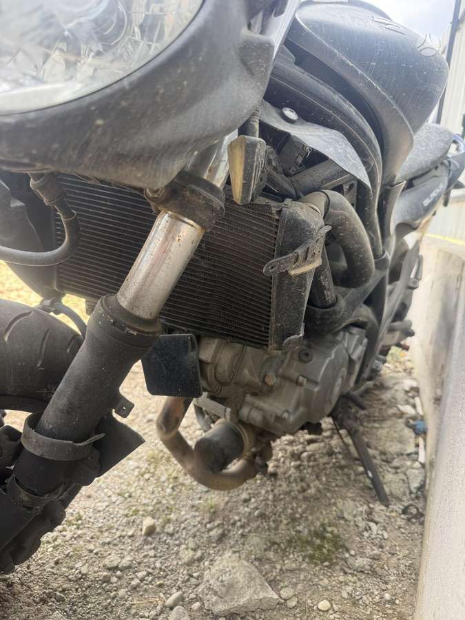 Suzuki SFV (Gladius) 650cc, street / classic