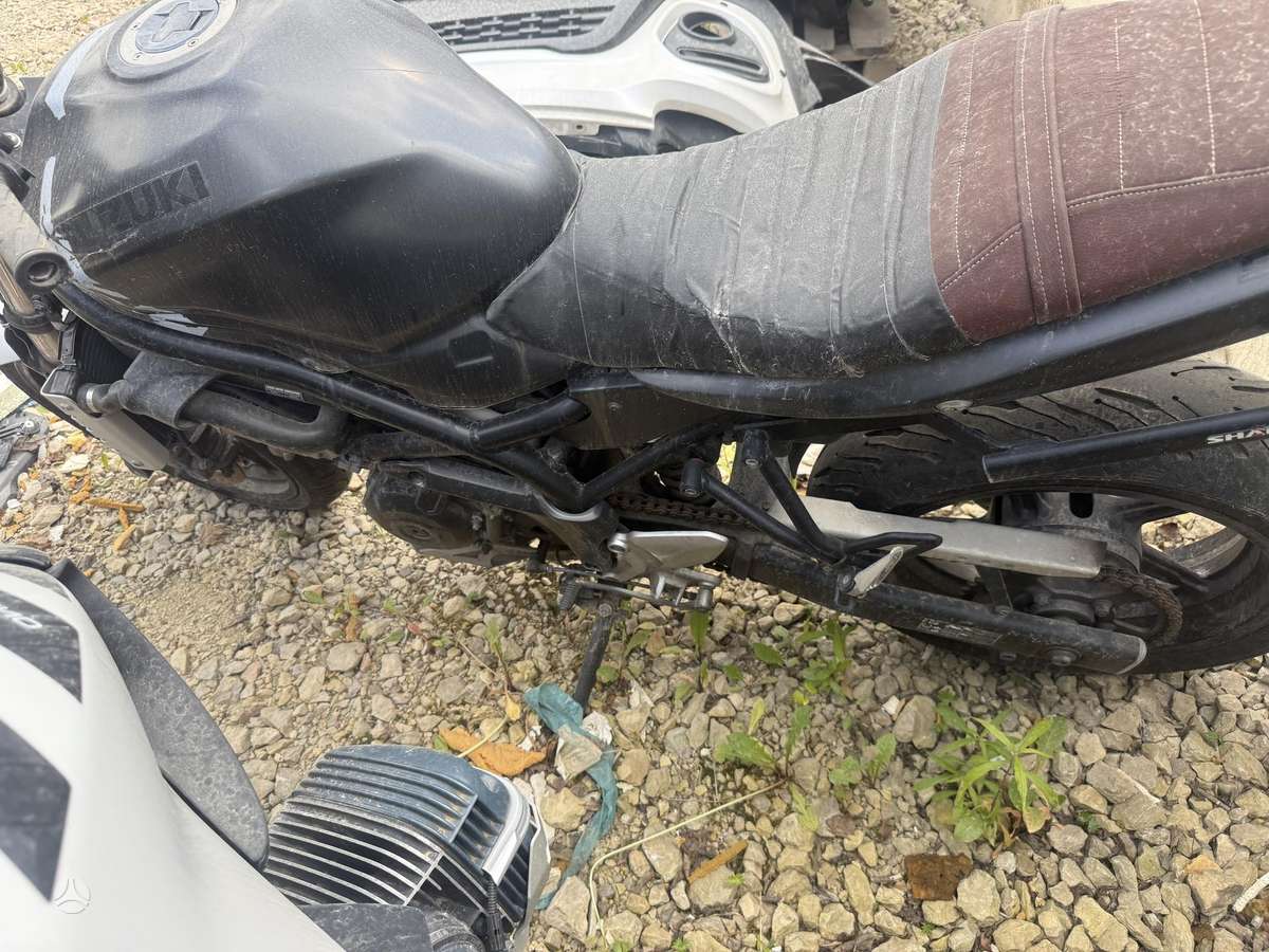 Suzuki SV 650cc, street / classic