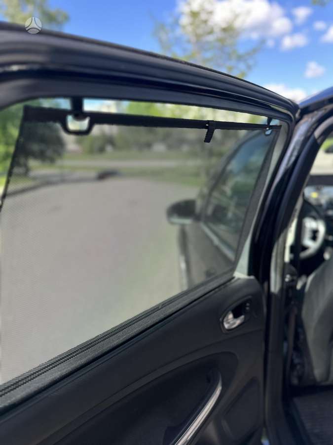 Ford S-MAX, 2.0 l., vienatūris