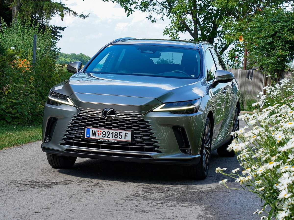 Lexus RX 450h+ 450h dalys