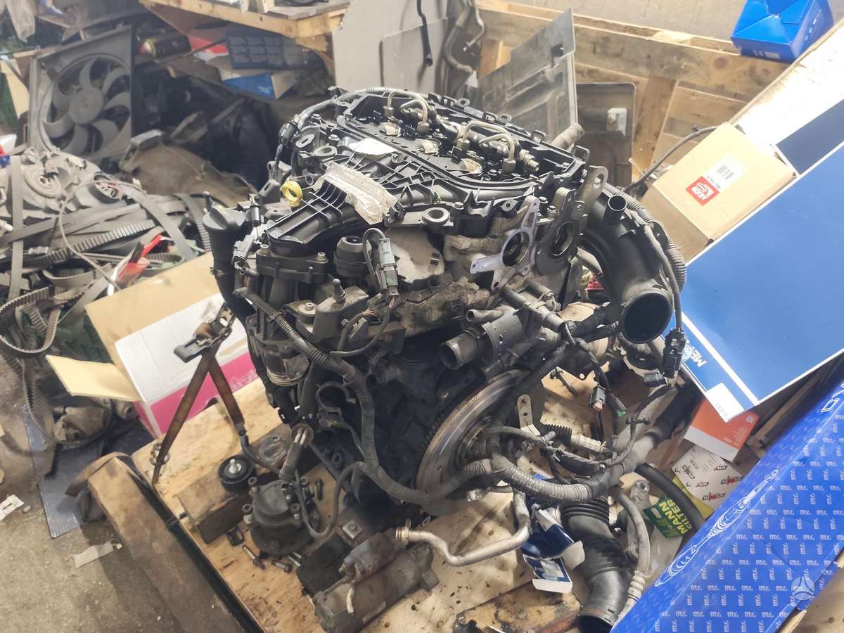 Ford Mondeo kėbulo dalys