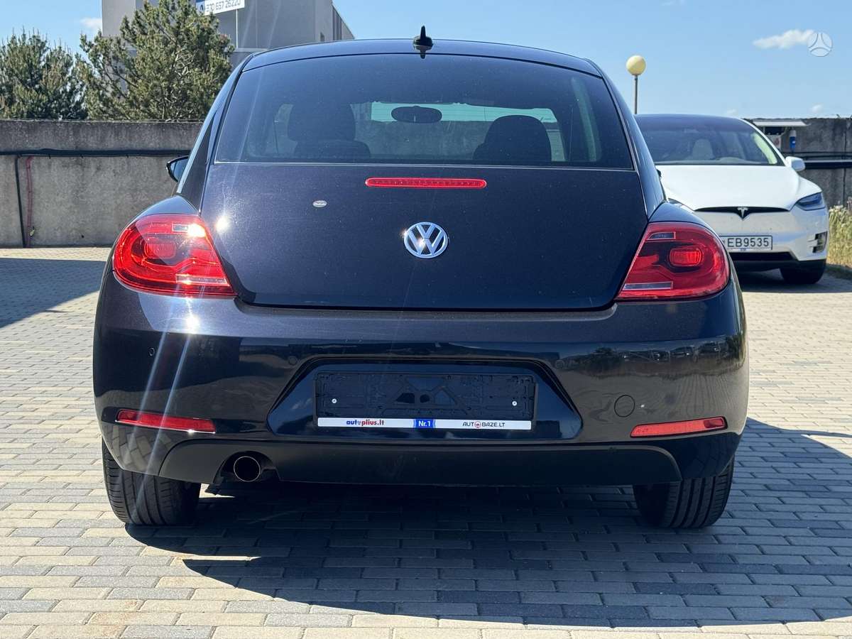 Volkswagen Beetle - 6