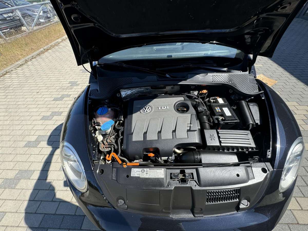 Volkswagen Beetle, 1.6 l., hatchback