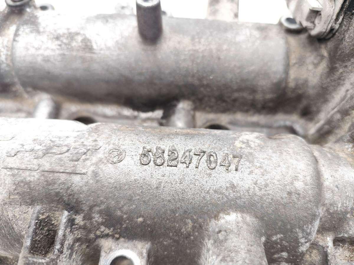 Fiat Doblo, 55247047, variklio galvutė