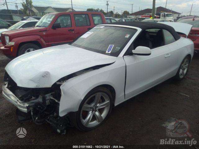 Audi A5 dalimis. Variklis dalimis