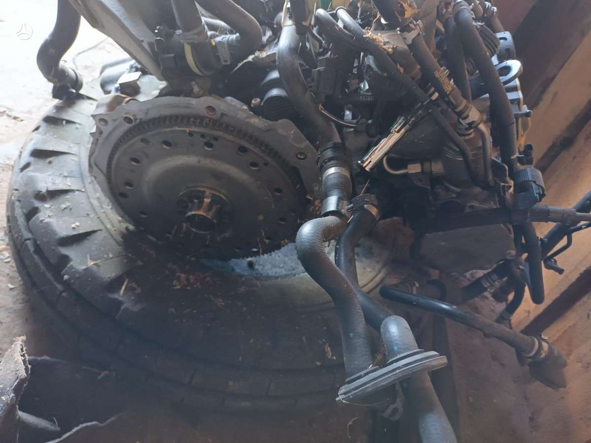 Audi A5 dalimis. Variklis dalimis