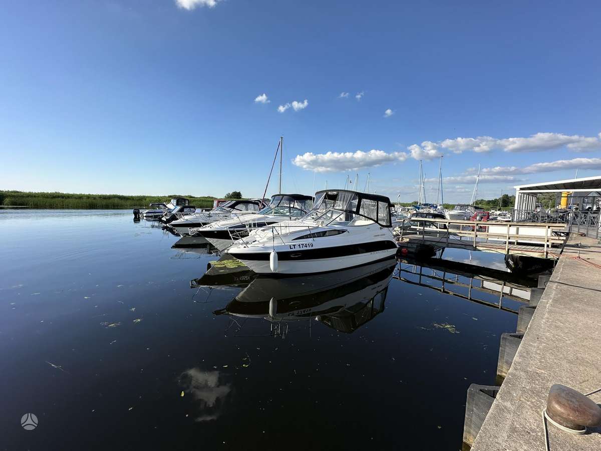 Bayliner 265 SB, другое