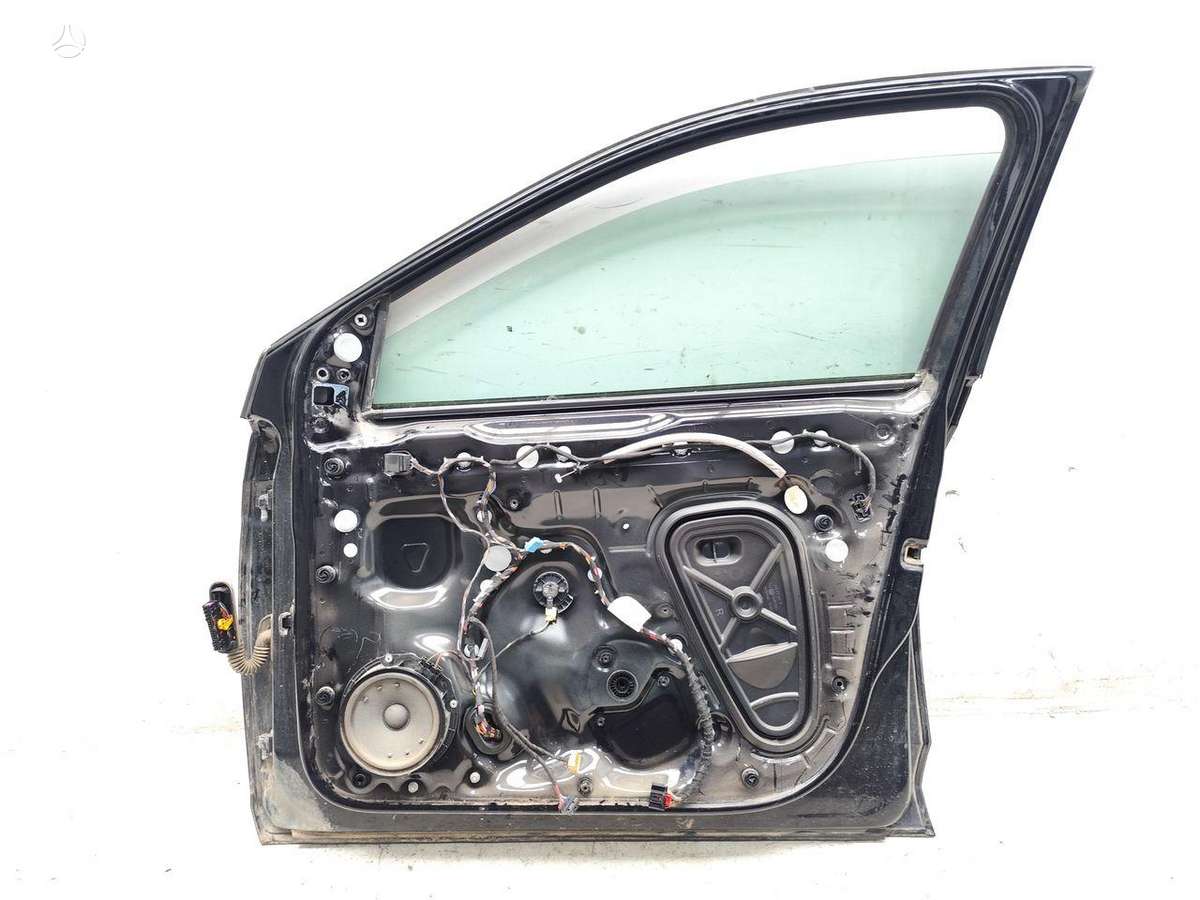 Volkswagen Polo durys