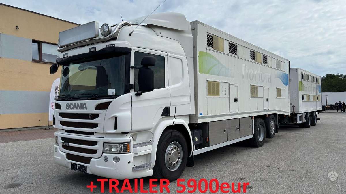 Scania P450, скотовозы