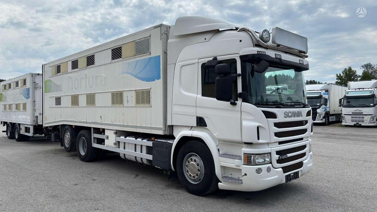 Scania P450, gyvulių pervežimo