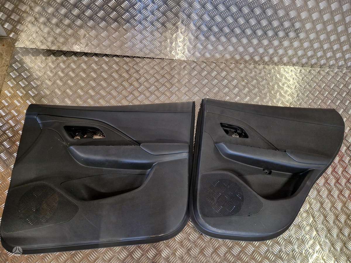 MG ZS salono detalės