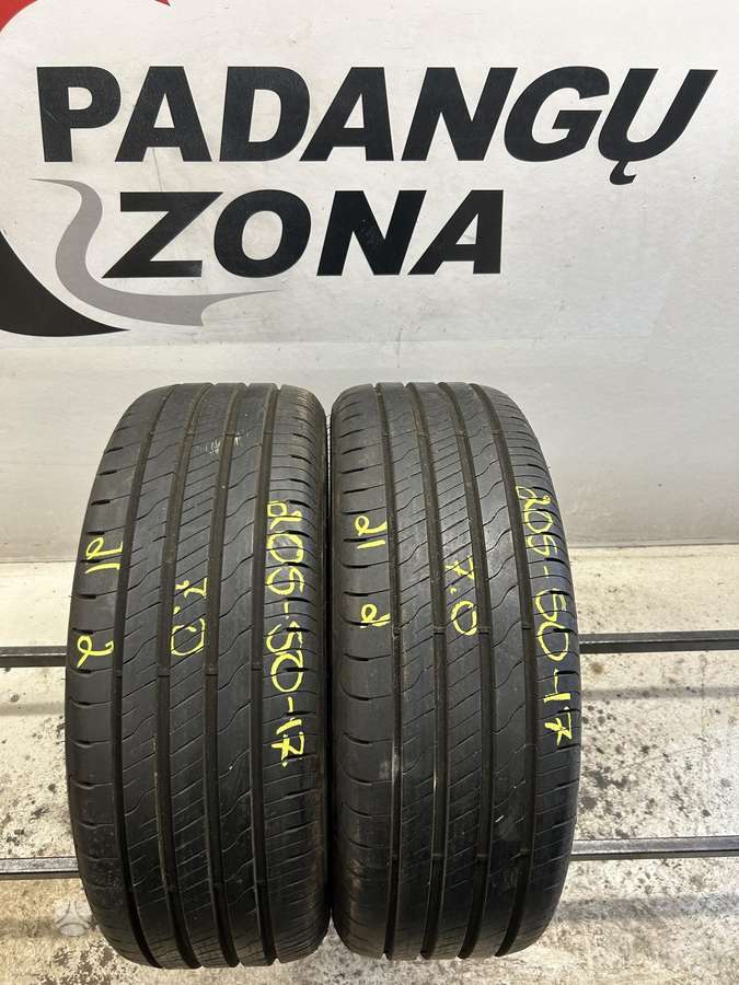 Goodyear Efficient Grip Performance 2, vasarinės 205/50 R17