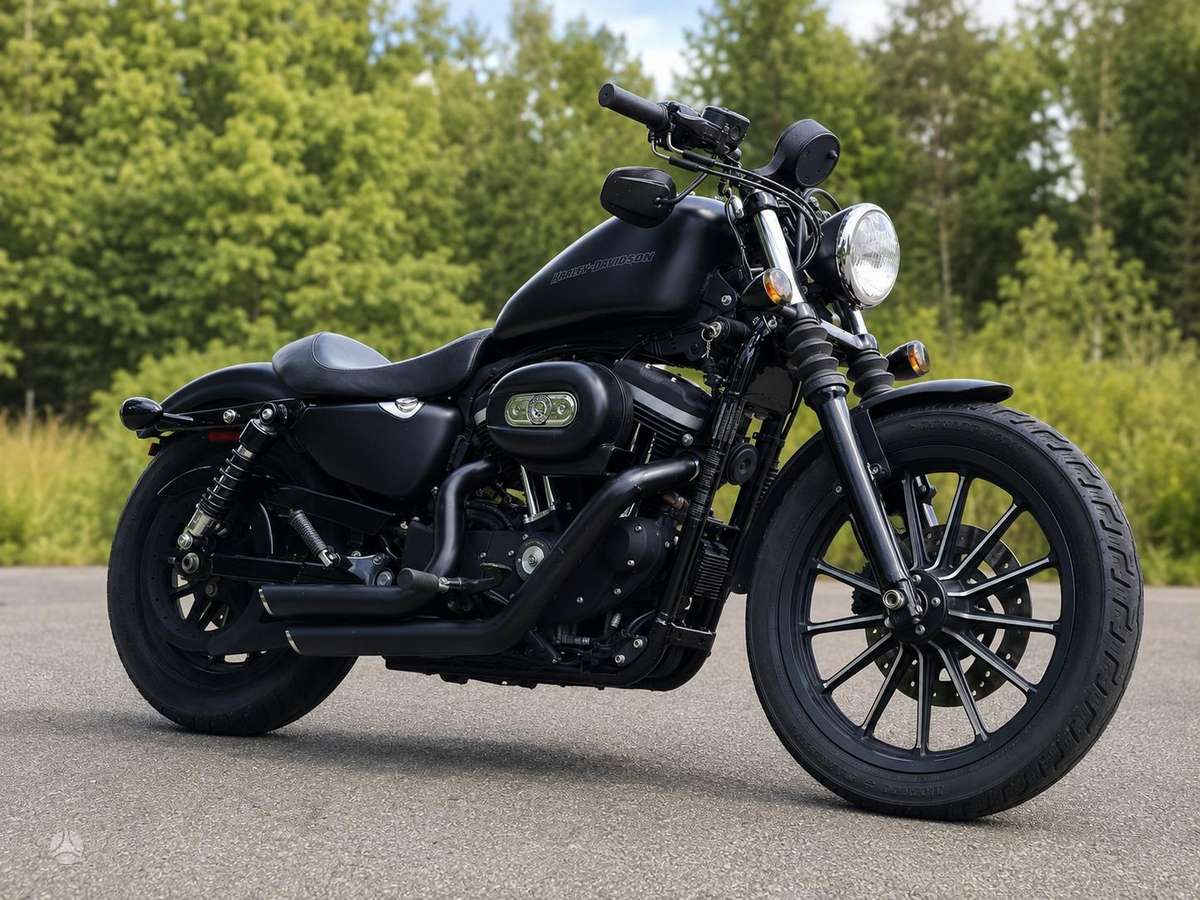 Harley-Davidson 883 883cc, choppers