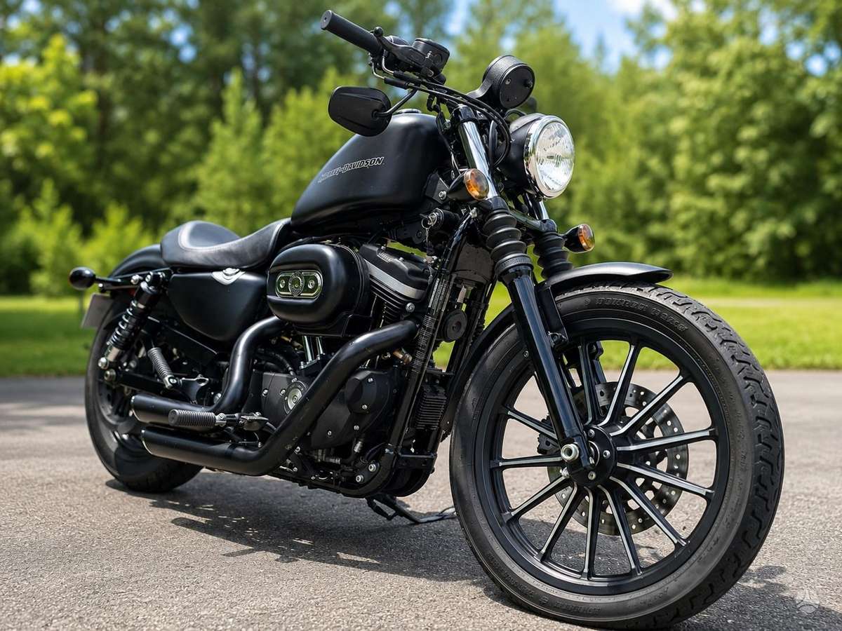 Harley-Davidson 883 883cc, чопперы / круизеры / custom