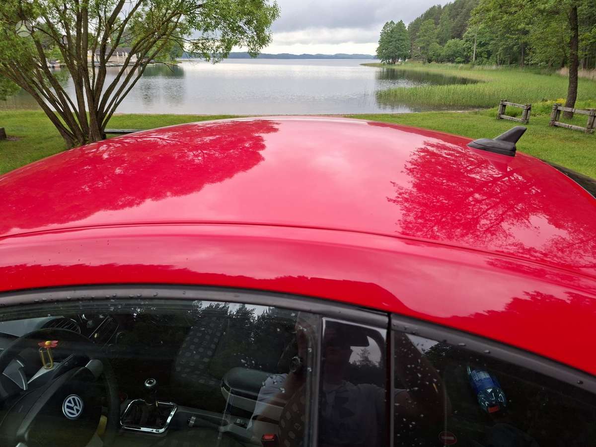 Volkswagen Beetle - 8