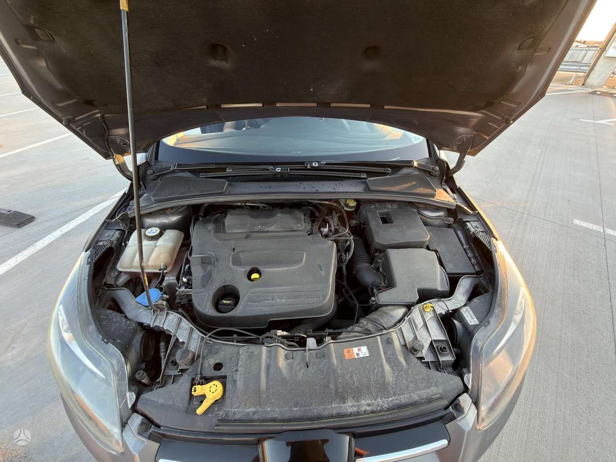 Ford Focus, 2.0 l., hatchback