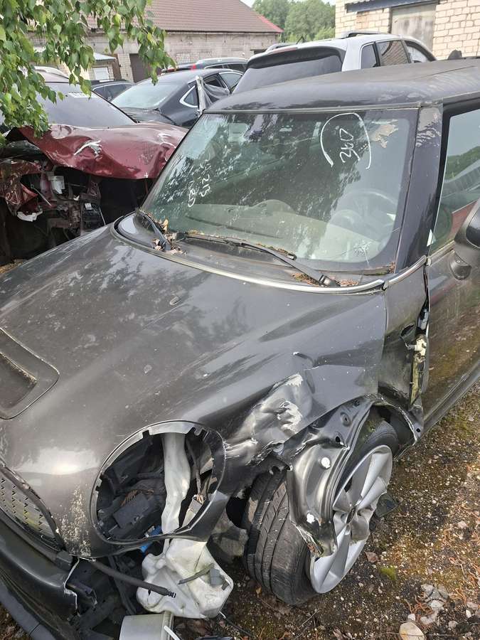 Mini Cooper S dalimis
