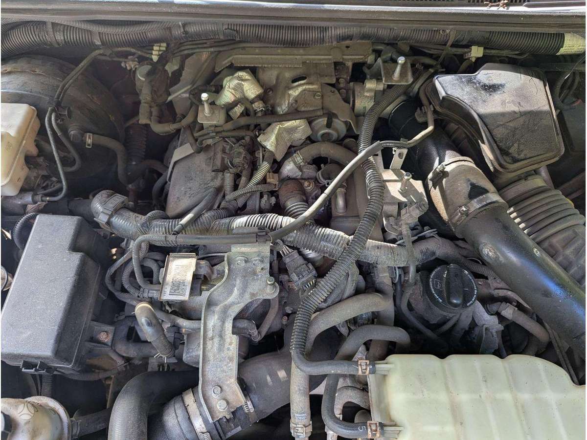 Nissan Navara engine