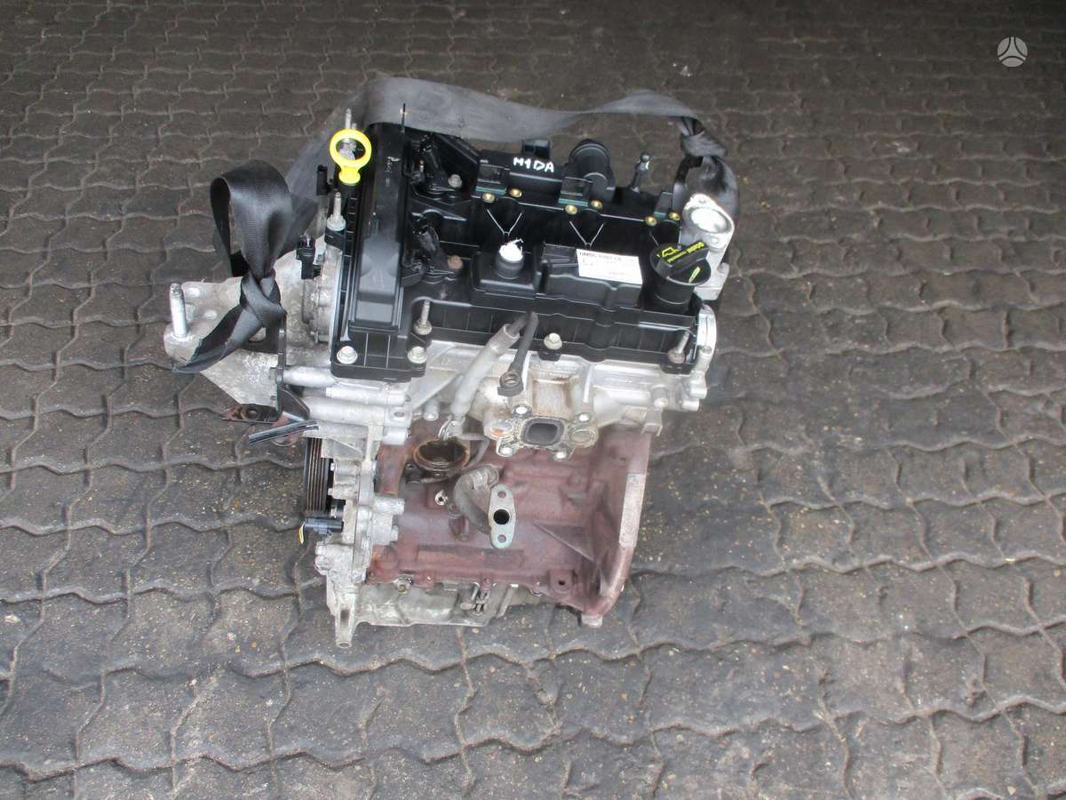 Ford Focus Variklis 1 0t m1da