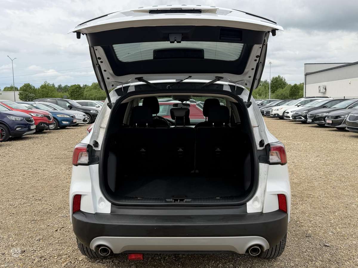 Ford Escape, Минивэн