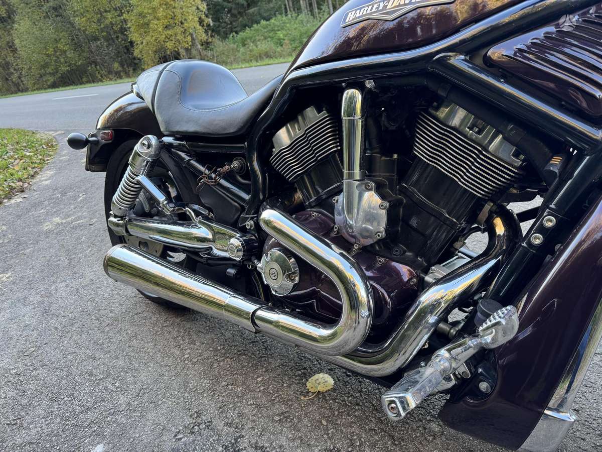 Harley-Davidson VRSCB 1130cc, choppers / cruisers / custom