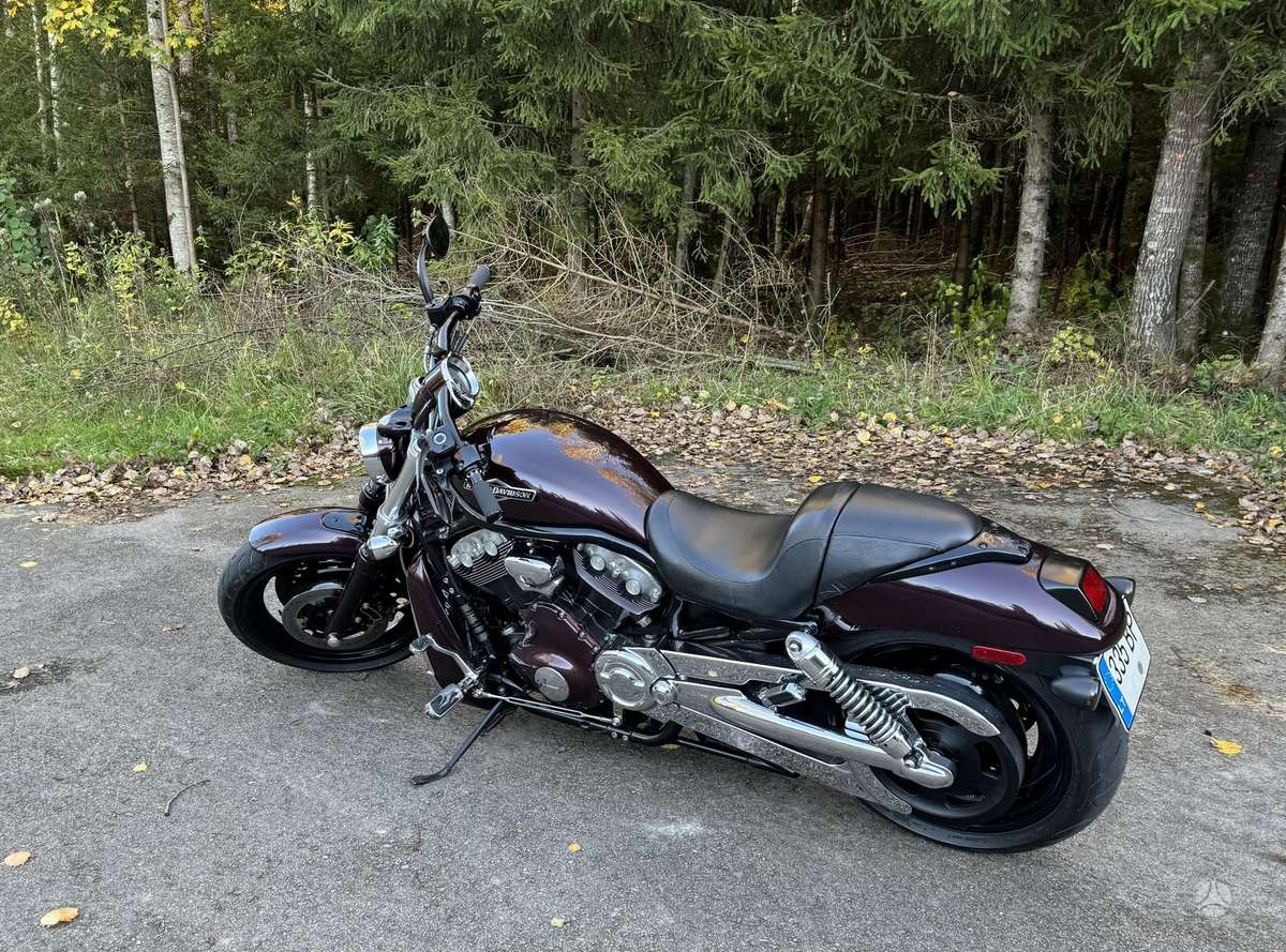 Harley-Davidson VRSCB 1130cc, choppers / cruisers / custom