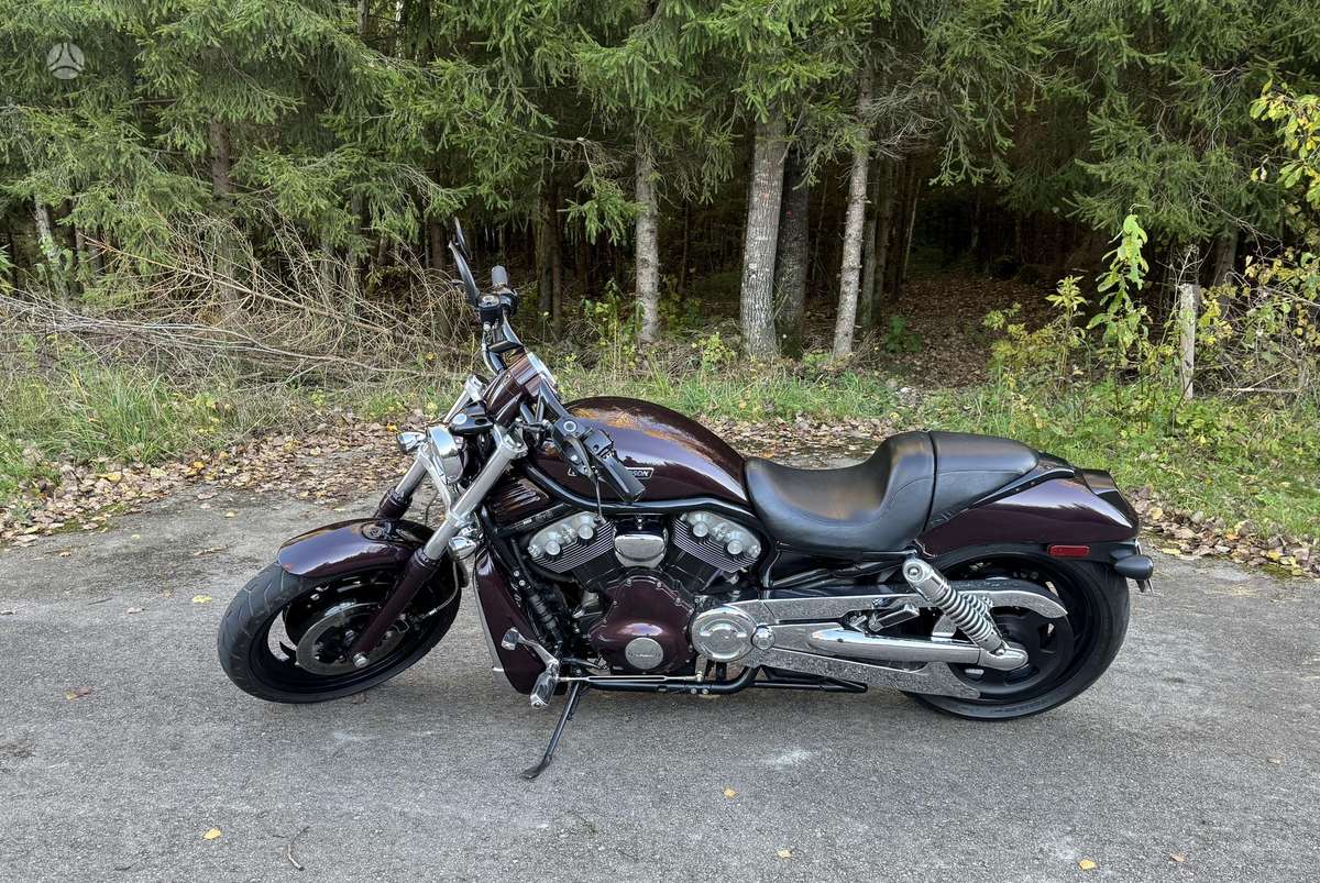 Harley-Davidson VRSCB 1130cc, choppers / cruisers / custom