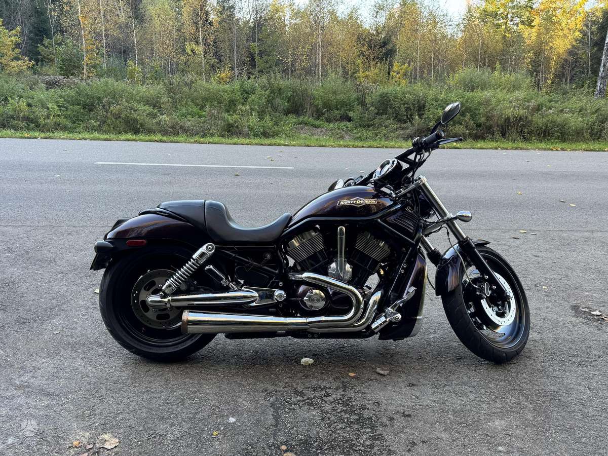 Harley-Davidson VRSCB 1130cc, choppers / cruisers / custom