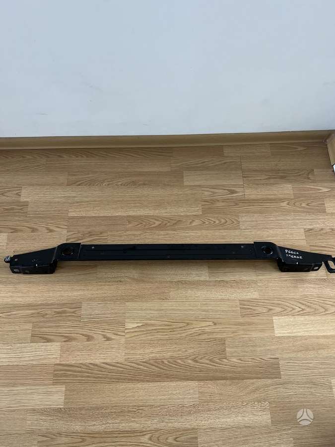 Renault Megane E-Tech, 214965MZ0A, kėbulo dalys