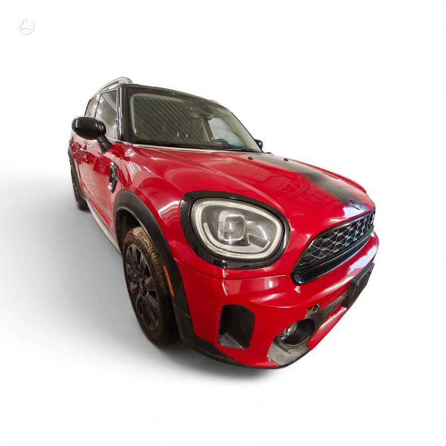 Mini Countryman S dalimis