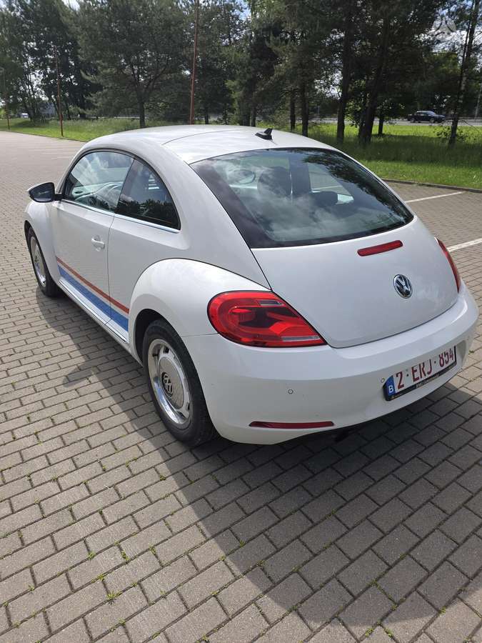Volkswagen Beetle - 4