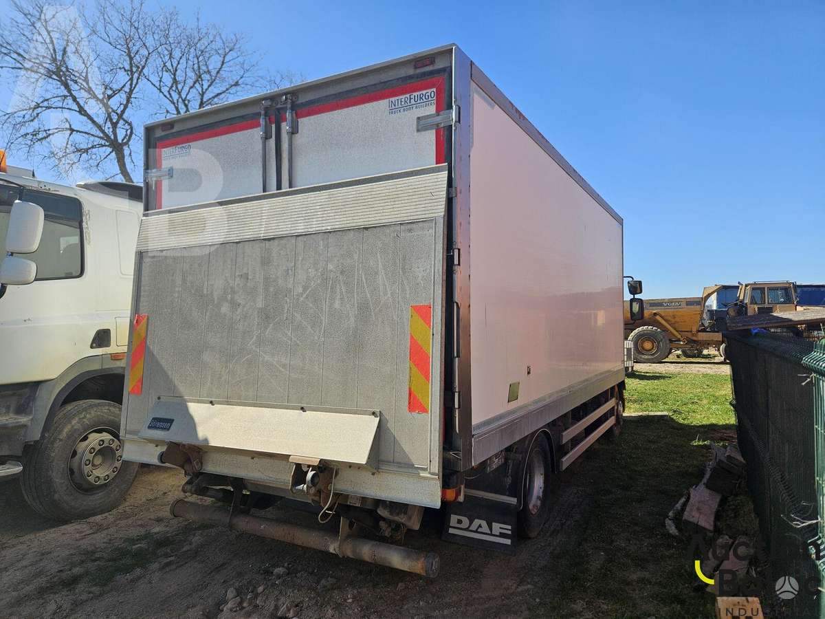 DAF FA LF 55, box trucks / box vans