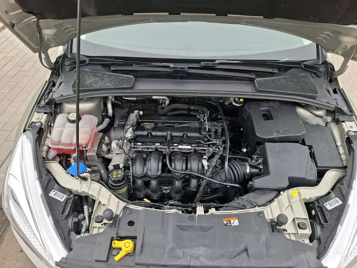 Ford Focus, 1.6 l., Хэтчбек