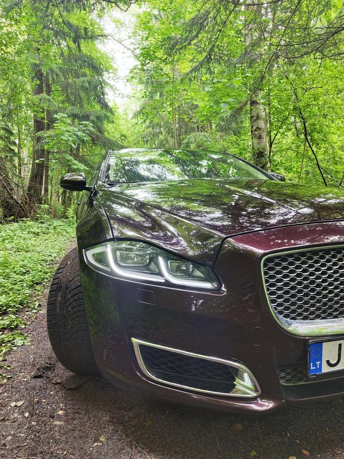 Jaguar XJ, 3.0 l., Седан