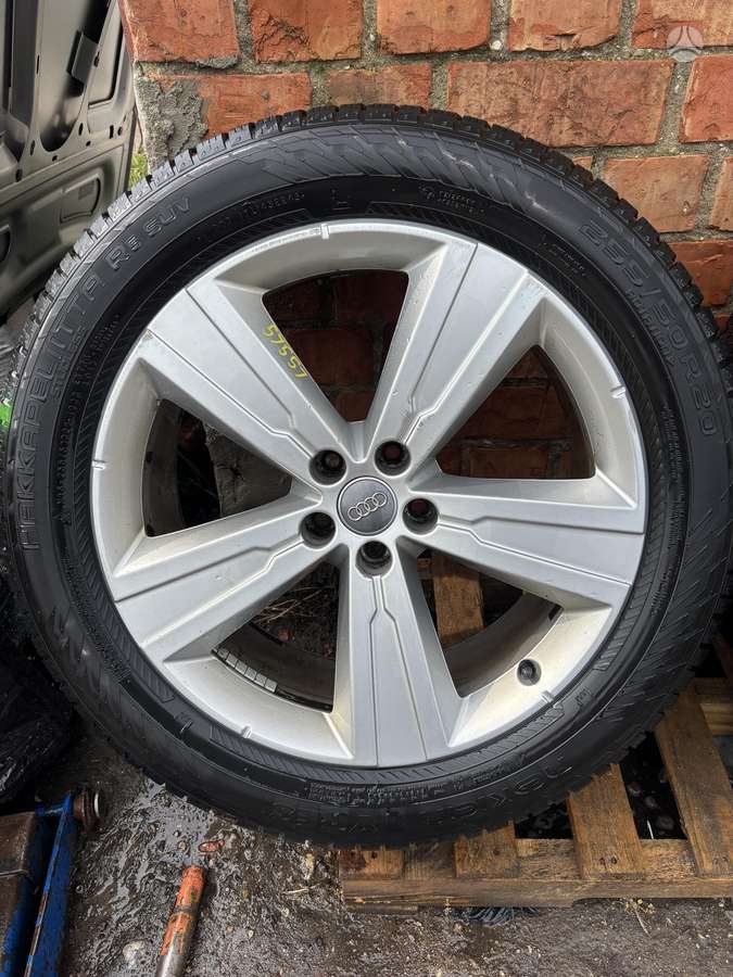 Audi Q7, lengvojo lydinio, R20