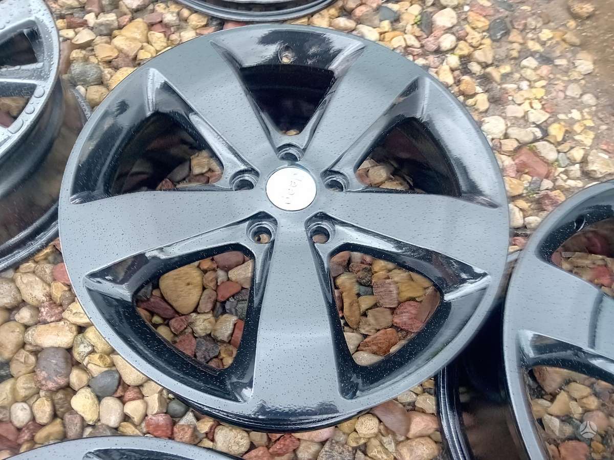 Dodge, vieglmetāla, R20