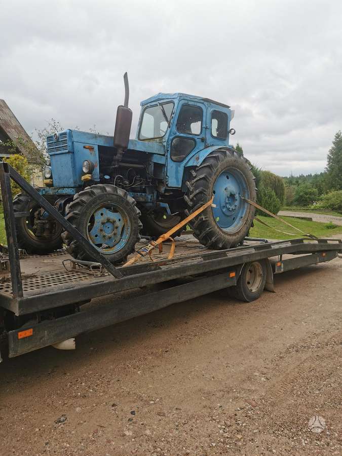 MAN 8163, автовозы