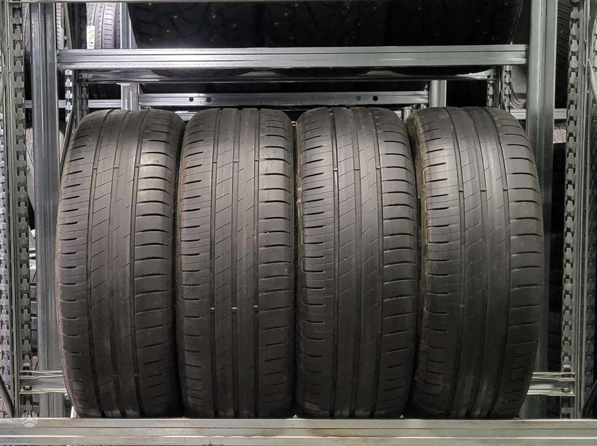 Goodyear Efficient Grip Performance, summer 195/55 R16
