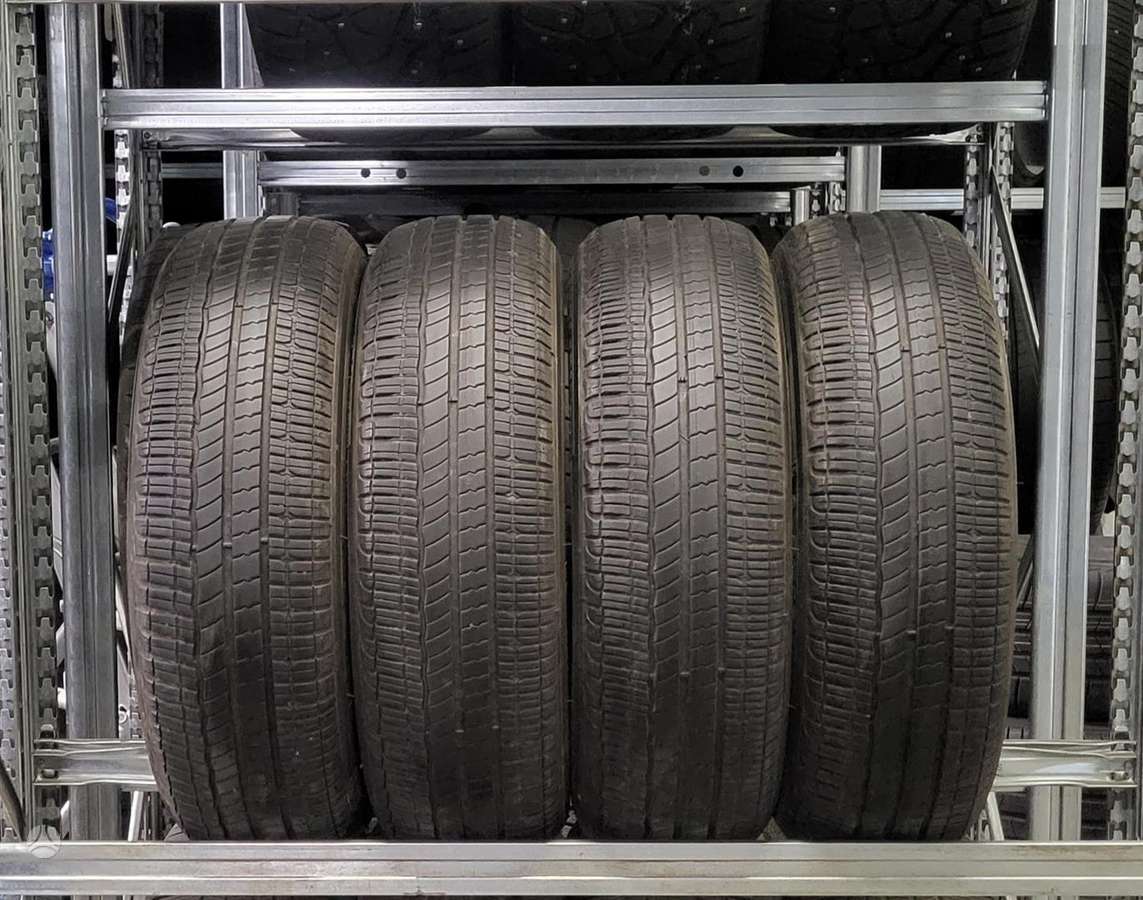 Michelin Energy EV, vasarinės 185/65 R15