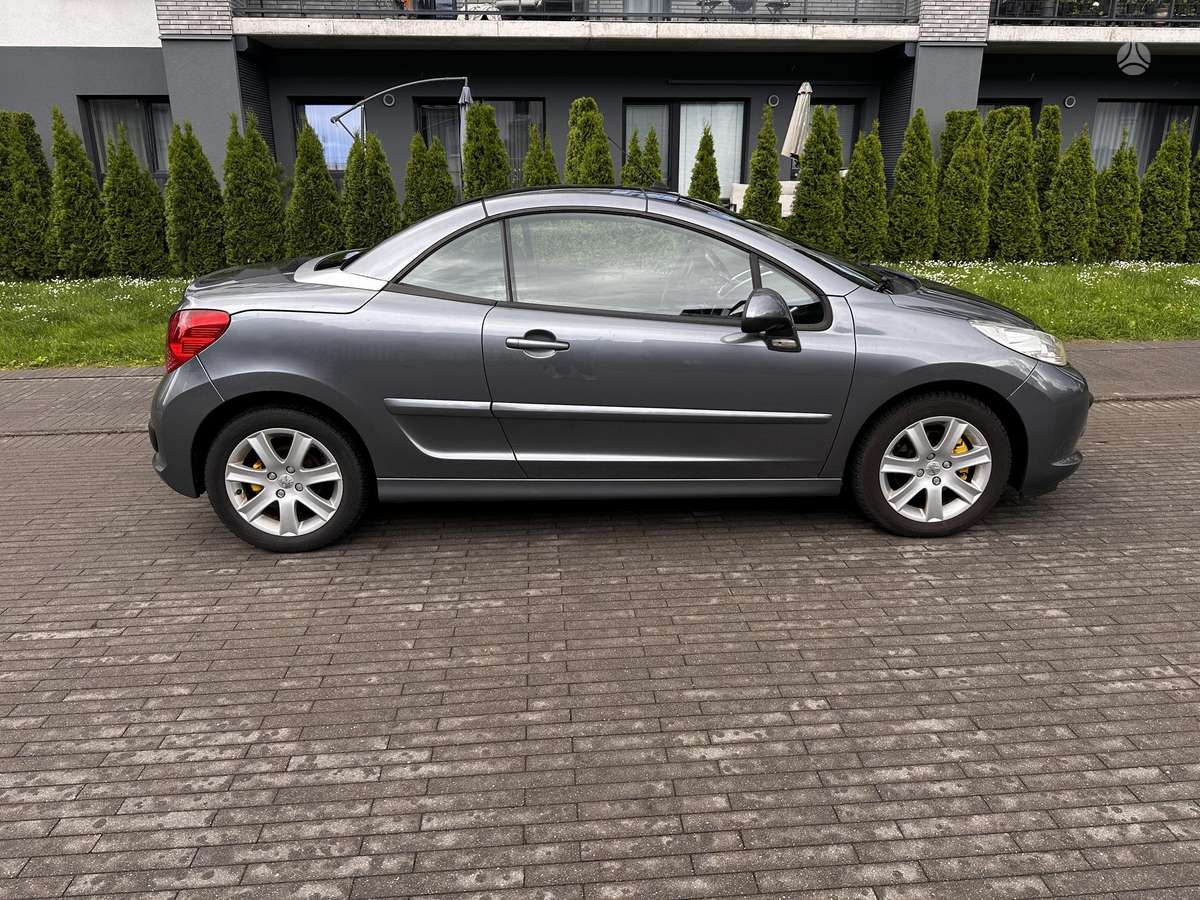 Peugeot 207 - 8