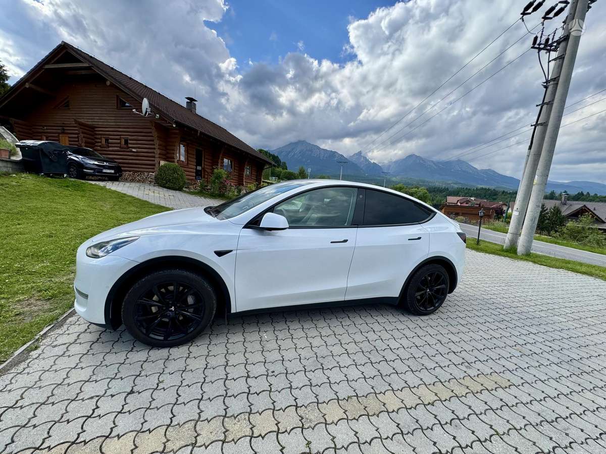 Tesla Model Y, Минивэн