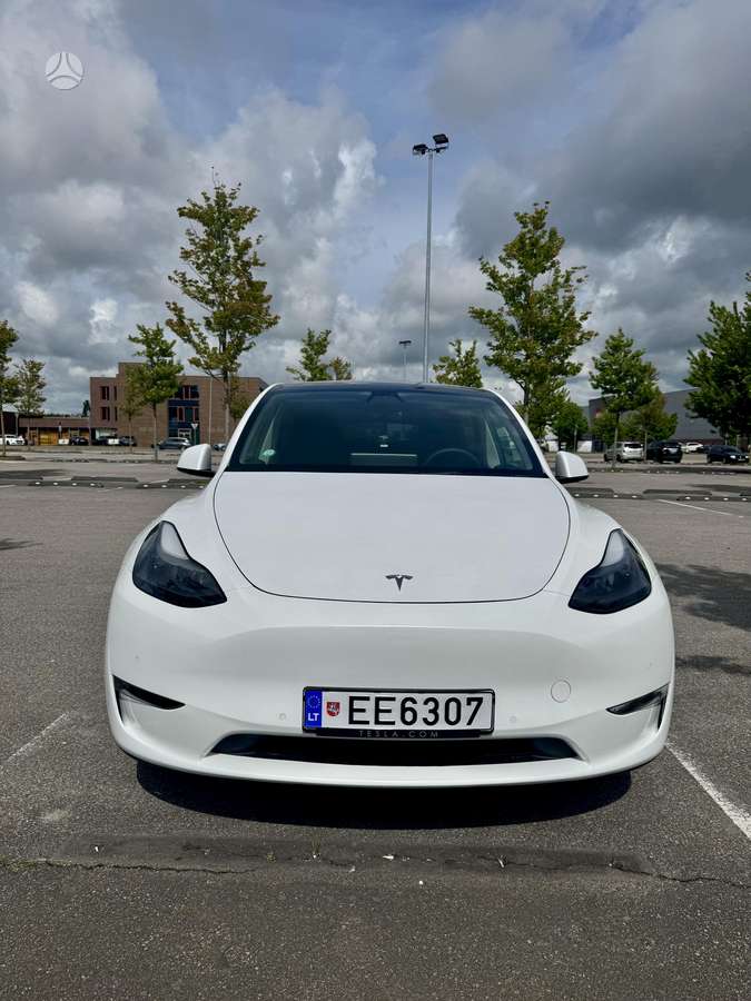 Tesla Model Y, Минивэн