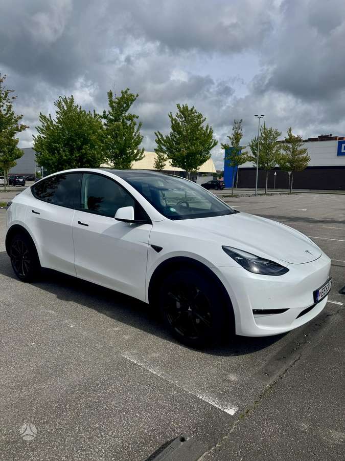 Tesla Model Y, Минивэн