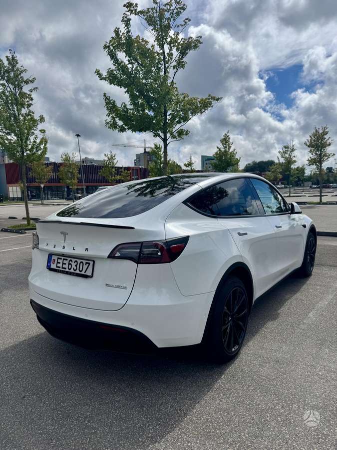 Tesla Model Y, Минивэн